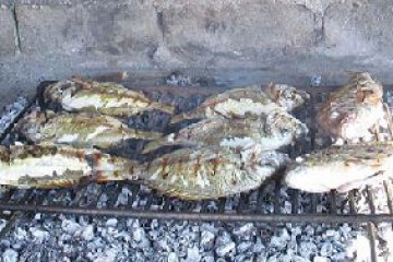 Fish picnic - Vrgada, Croatia, Northern Dalmatia