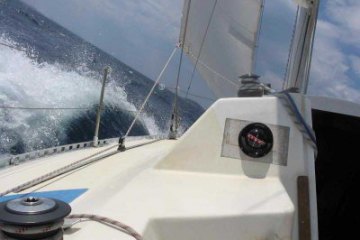 One-day sailing, foto 6