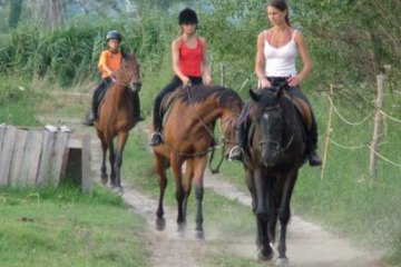 Horseback riding - Vrana, Croatia, Northern Dalmatia