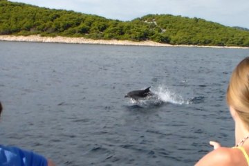 Sailing with dolphins + island Vrgada, foto 2