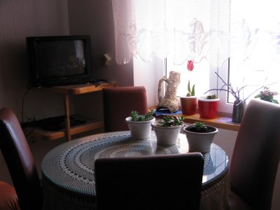 Apartments Dražena