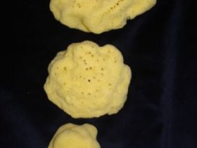 Sea sponges , foto 6