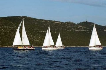 One-day sailing, foto 12
