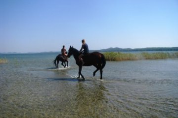 Horseback riding - Vrana, foto 7