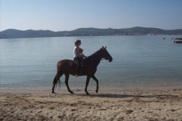 Horseback riding - Vrana, foto 8