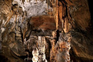 Postojna Cave (Slowenia), foto 8