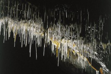 Postojna Cave (Slowenia), foto 20