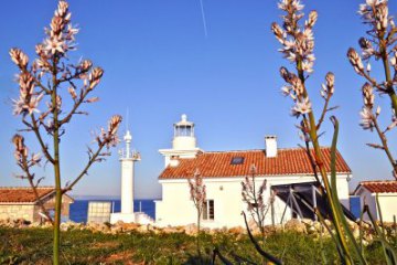 Lighthouse Marlera, foto 11