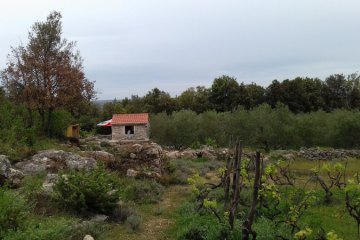 Secluded stone cottage Krunica, foto 12